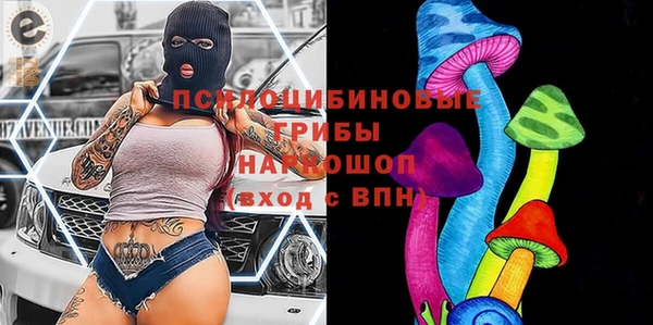 тгк Богородицк